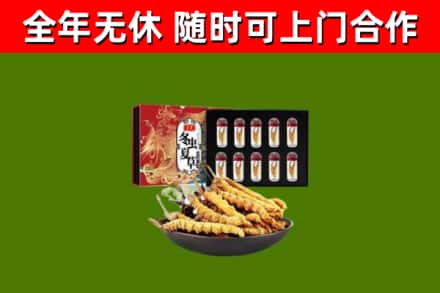 邻水回收冬虫夏草价格
