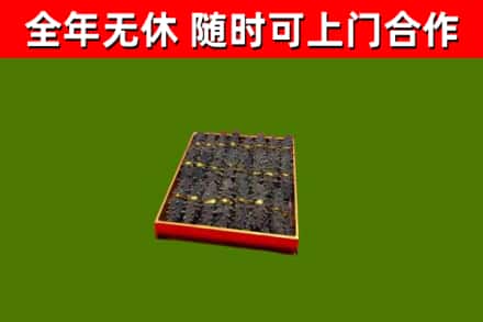 邻水回收海参